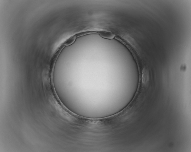 X0000113011452200909171418