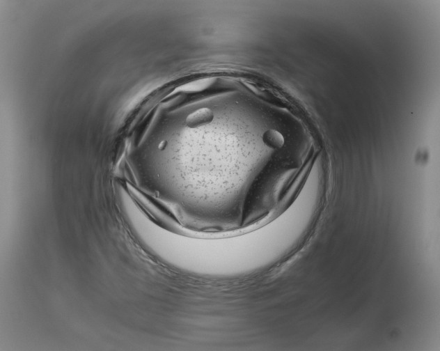 X0000113011453200909171418