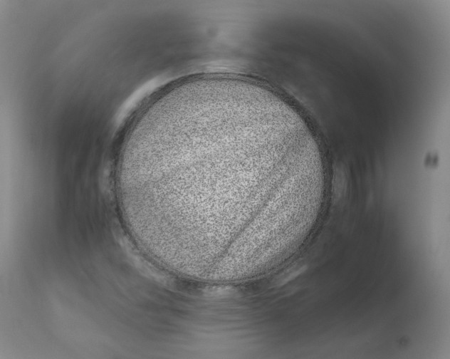 X0000113011454200909171418