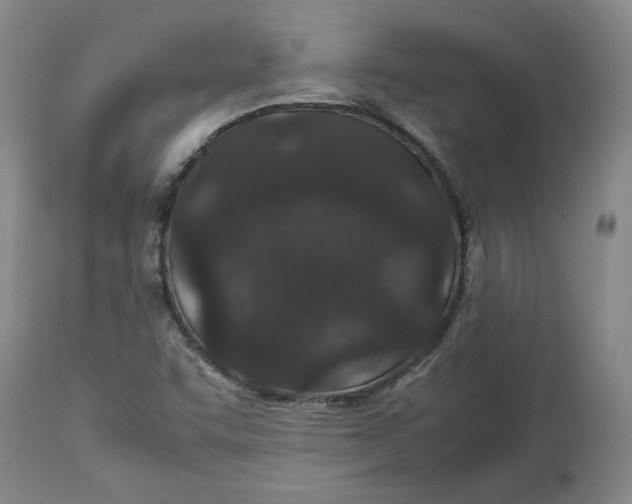 X0000113011455200909171418