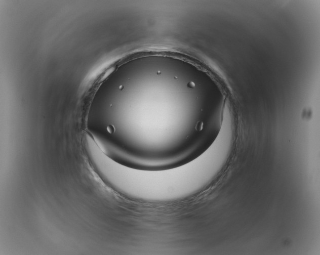 X0000113011456200909171418