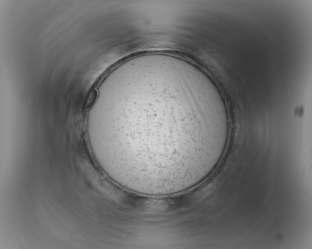 X0000113011457200909171418