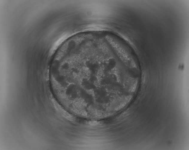 X0000113011459200909171418