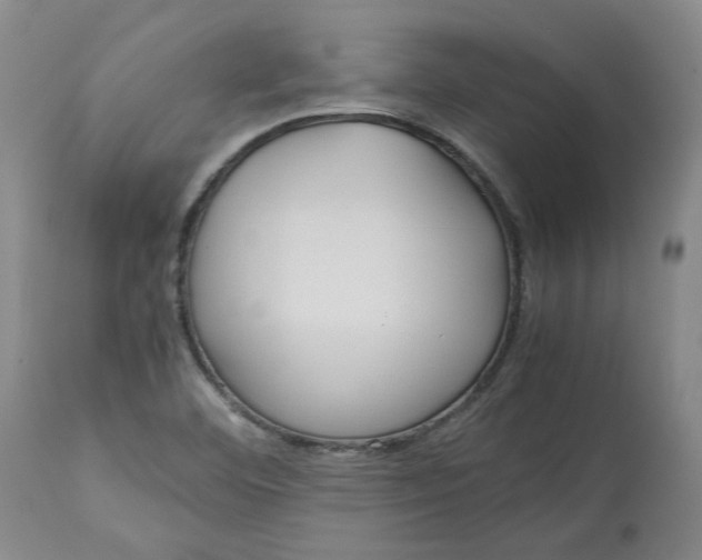 X0000113011460200909171418