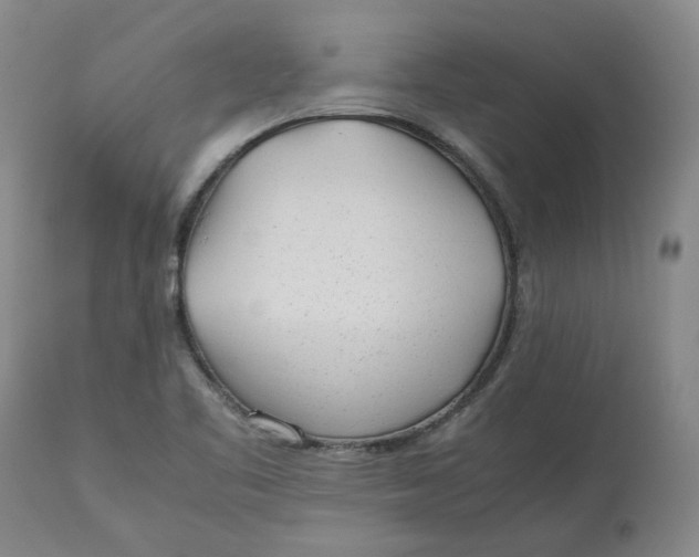 X0000113011461200909171418