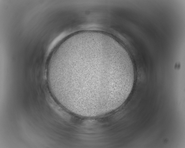 X0000113011462200909171418