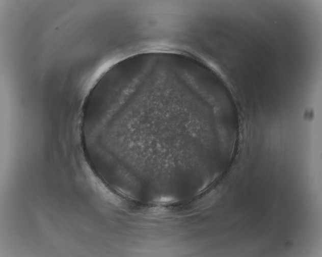 X0000113011463200909171418