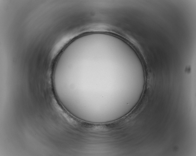 X0000113011464200909171418