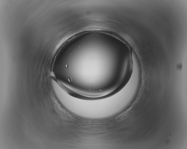 X0000113011465200909171418