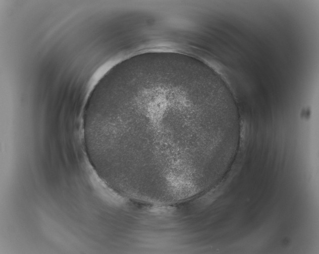 X0000113011466200909171418