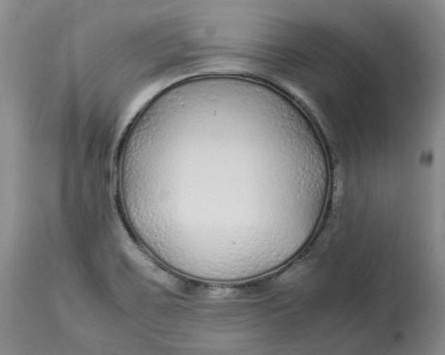 X0000113011467200909171418