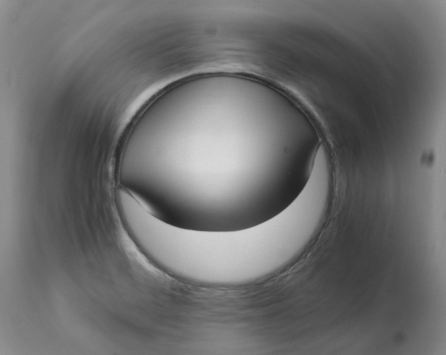 X0000113011468200909171418