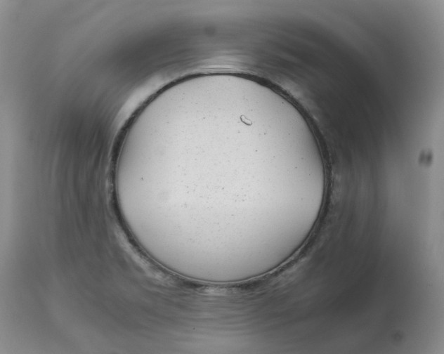 X0000113011469200909171418