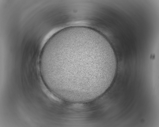 X0000113011470200909171418