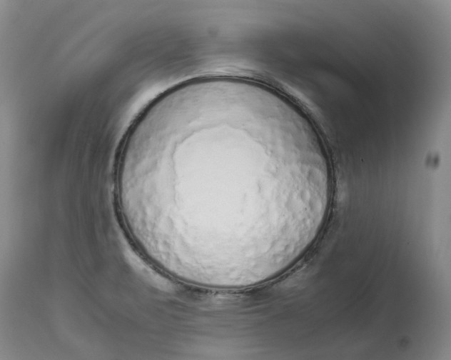 X0000113011471200909171418