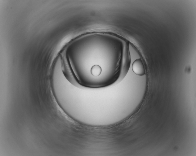 X0000113011472200909171418