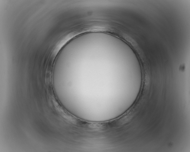 X0000113011473200909171418