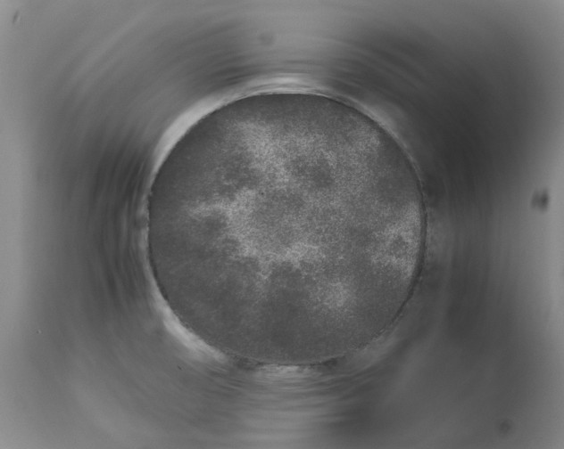 X0000113011474200909171418