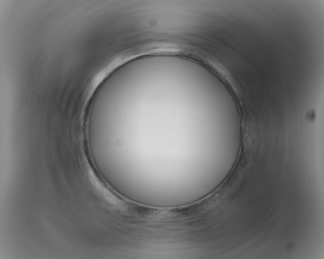 X0000113011475200909171418