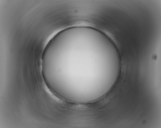 X0000113011476200909171418