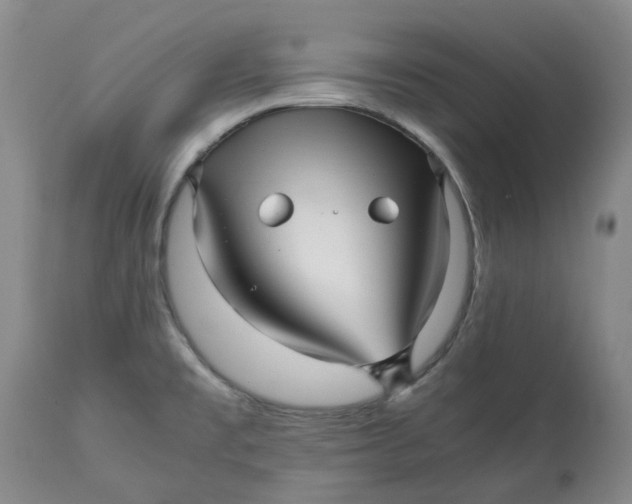 X0000113011477200909171418