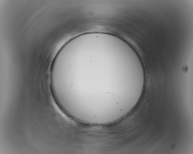 X0000113011479200909171418