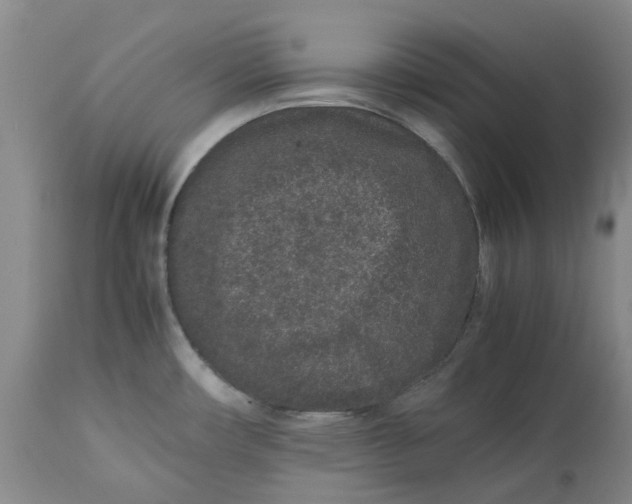 X0000113011482200909171418