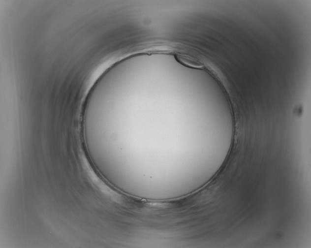 X0000113011483200909171418