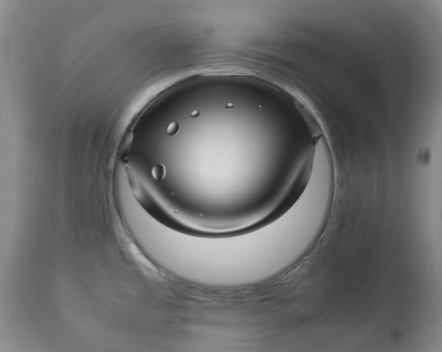 X0000113011485200909171418