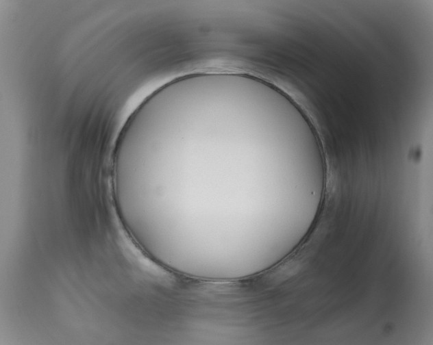 X0000113011486200909171418