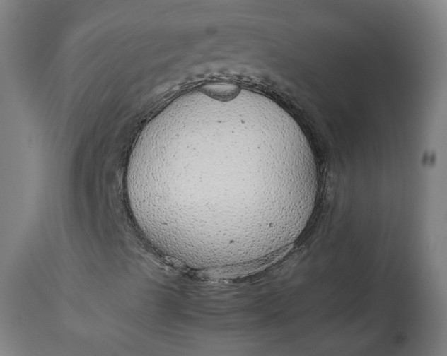 X0000113011489200909171417