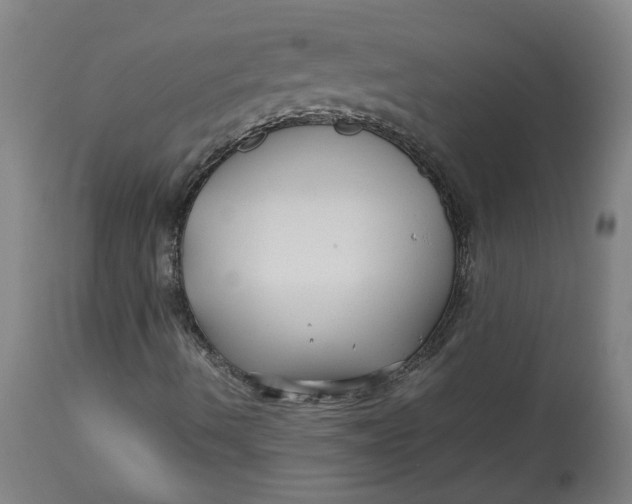 X0000113011490200909171417