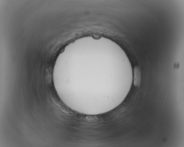 X0000113011491200909171417