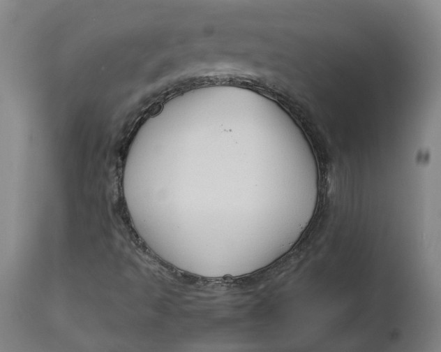 X0000113011493200909171417