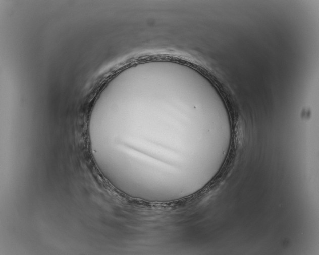 X0000113011494200909171417