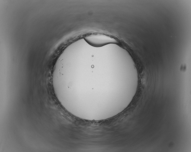 X0000113011495200909171417