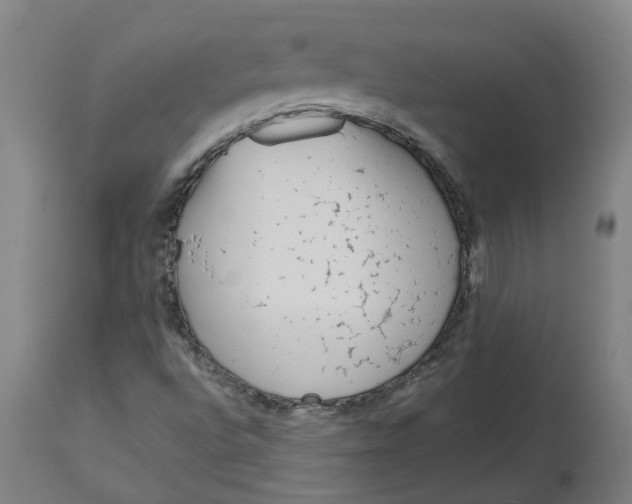 X0000113011496200909171417