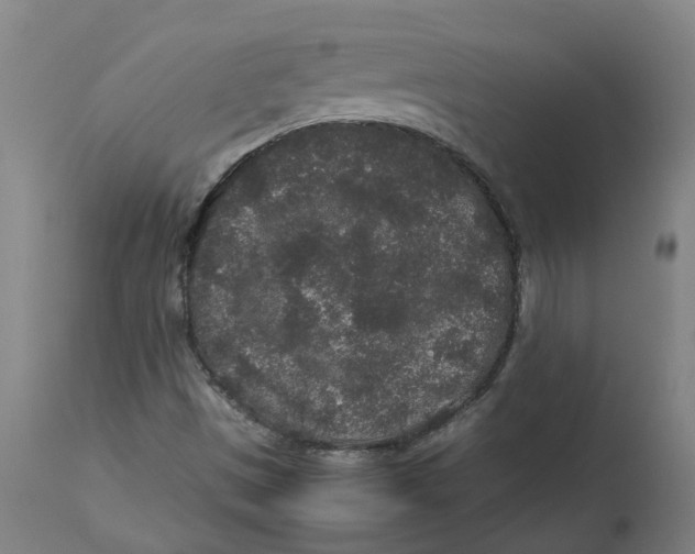 X0000113011497200909171417