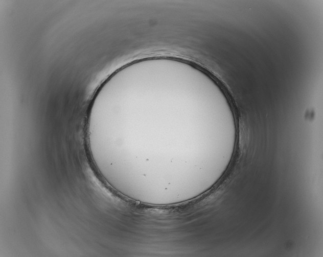 X0000113011500200909171417