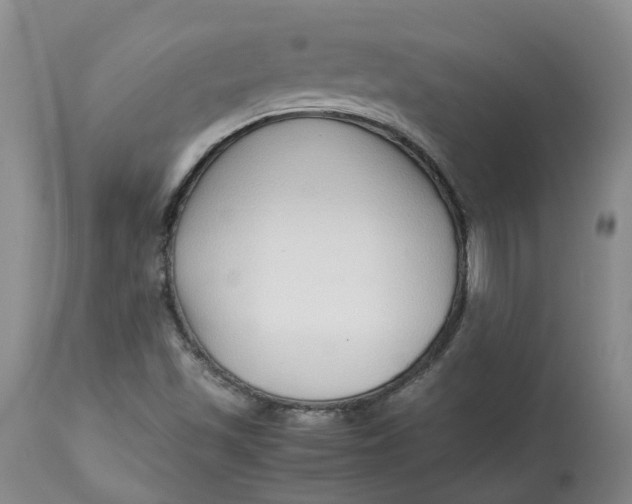 X0000113011501200909171417