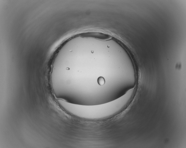 X0000113011502200909171417