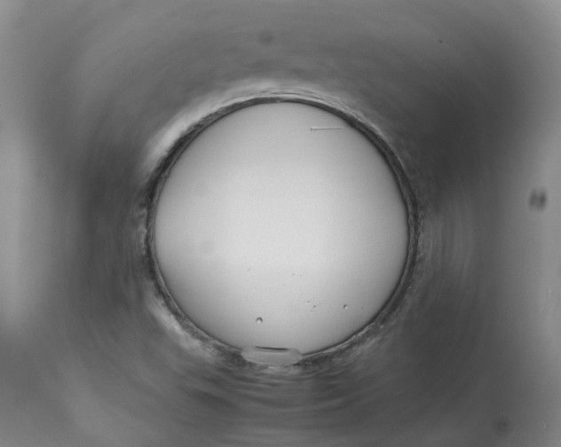 X0000113011503200909171417