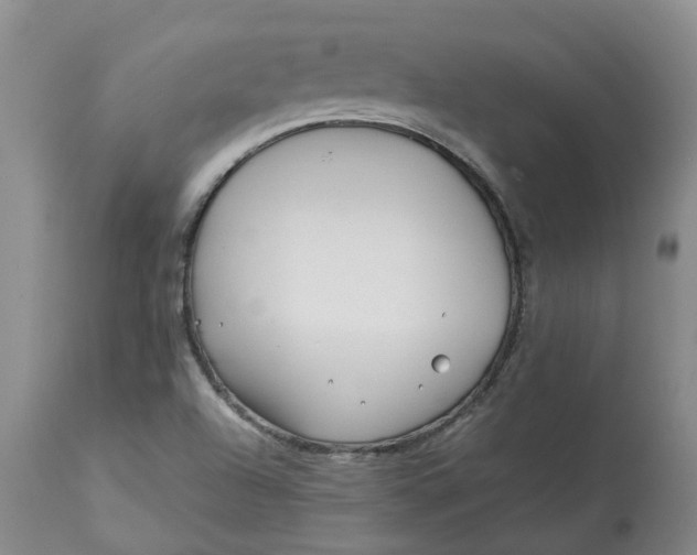 X0000113011504200909171417