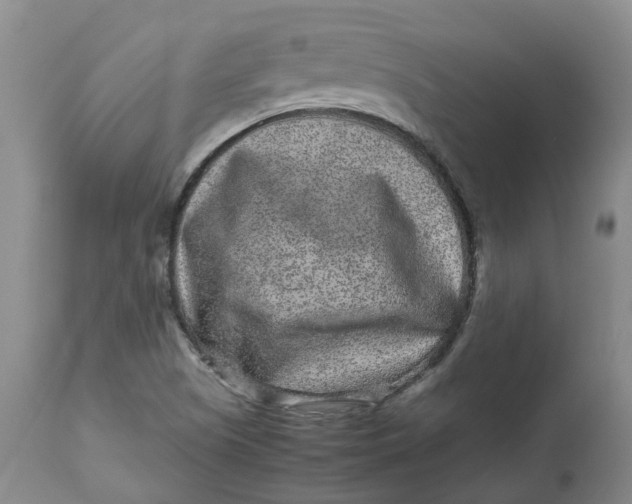 X0000113011505200909171417