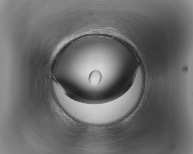 X0000113011506200909171417