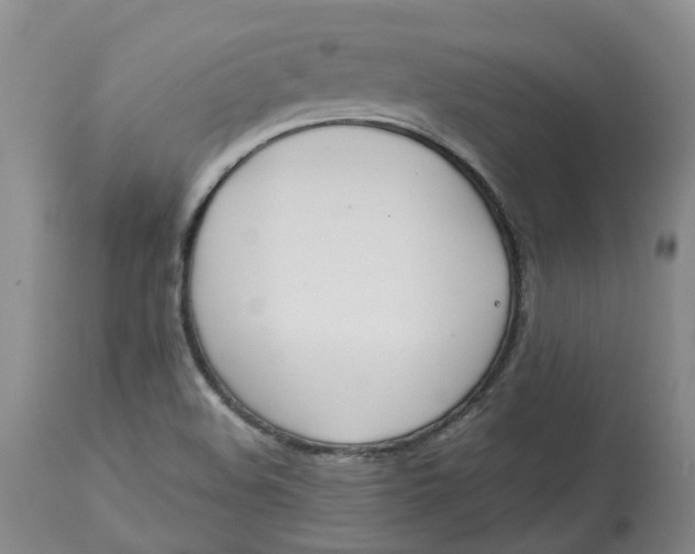 X0000113011508200909171417