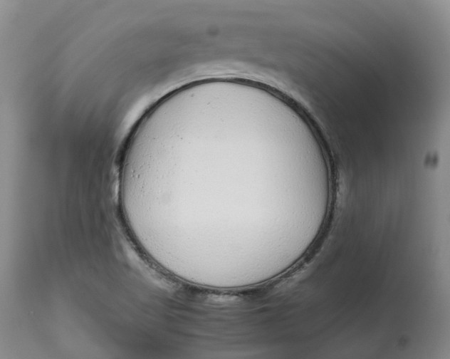 X0000113011509200909171417