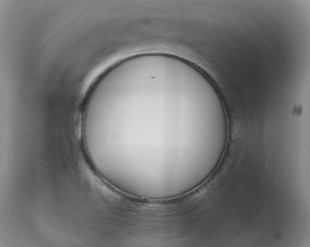 X0000113011510200909171417