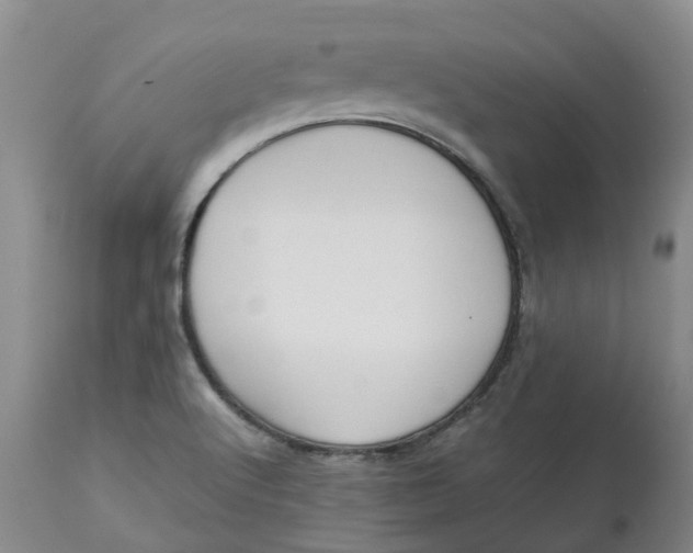 X0000113011512200909171417