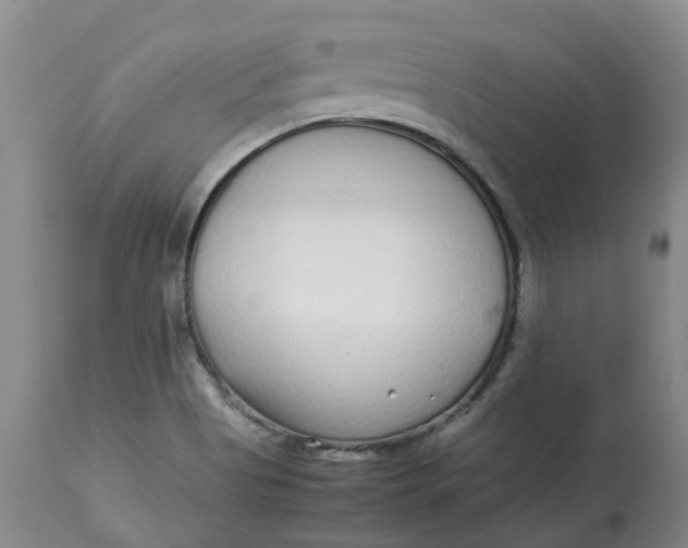 X0000113011513200909171417